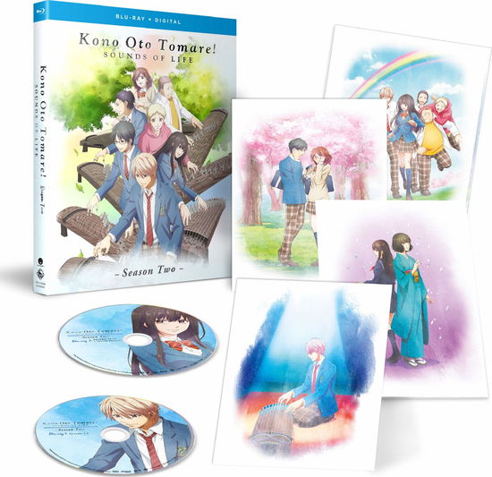 Cover for Kono Oto Tomare: Sounds of Life - Season Two (Blu-ray) (2020)