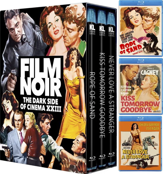 Cover for Film Noir: the Dark Side of Cinema Xxiii (Blu-ray) (2025)