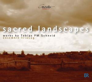 Sacred Landscapes - Schneid / Ensemble Trilog - Música - COVIELLO CLASSICS - 4039956609087 - 30 de marzo de 2010
