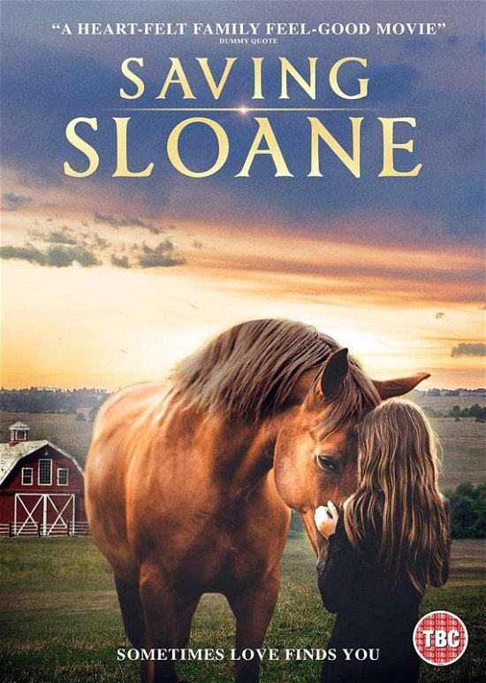 Saving Sloane - Steve Franke - Film - High Fliers - 5022153108087 - 28. mars 2022