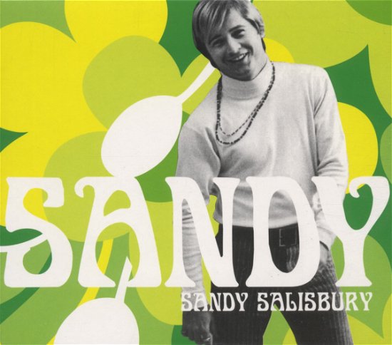 Cover for Sandy Salisbury · Sandy (CD) [Digipak] (2008)