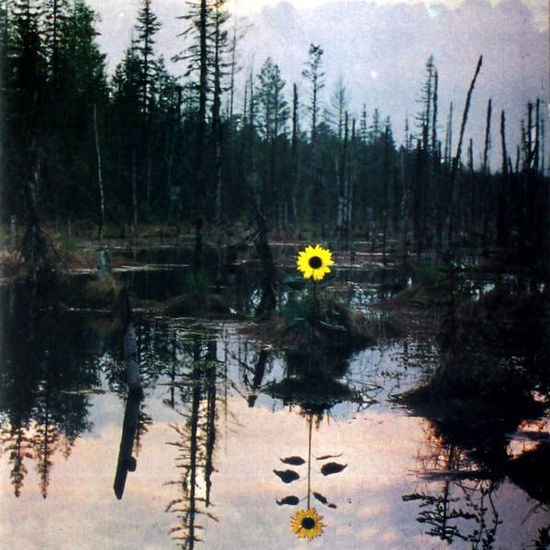 Cover for Sunflower (CD) (2007)