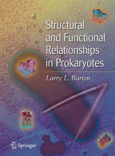 Cover for Larry L. Barton · Structural and Functional Relationships in Prokaryotes (Hardcover Book) [2005 edition] (2004)