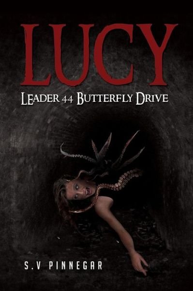 Cover for Mr S V Pinnegar · Lucy Leader 44 Butterfly Drive (Paperback Book) (2015)