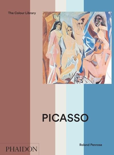 Cover for David Lomas · Picasso - Colour Library (Pocketbok) (1998)