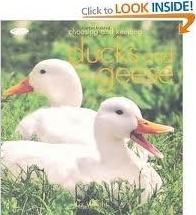 Cover for Choosing and Keeping Ducks and Geese (Book)