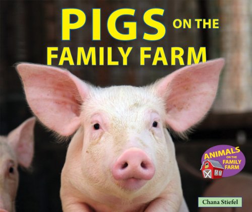 Cover for Chana Stiefel · Pigs on the Family Farm (Animals on the Family Farm) (Hardcover Book) (2013)