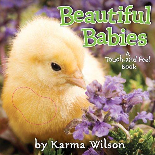 Cover for Karma Wilson · Beautiful Babies: a Touch-and-feel Book (Board book) [Brdbk edition] (2009)