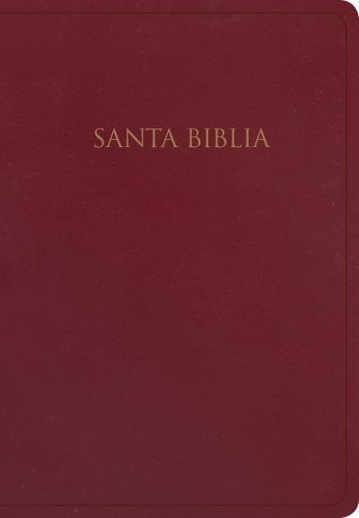 RVR 1960 Biblia para Regalos y Premios, Borgoña Imitación Piel - B&H Español Editorial Staff - Livros - Lifeway Christian Resources - 9781535991087 - 1 de julho de 2019