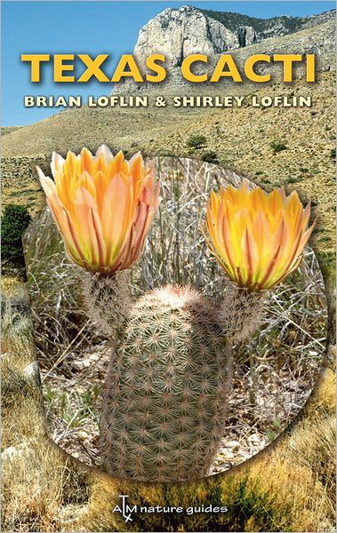 Cover for Brian Loflin · Texas Cacti: A Field Guide (Paperback Book) (2009)