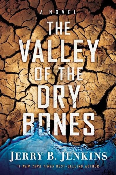 Cover for Jerry B. Jenkins · THE VALLEY OF DRY BONES: A Novel (Pocketbok) (2016)