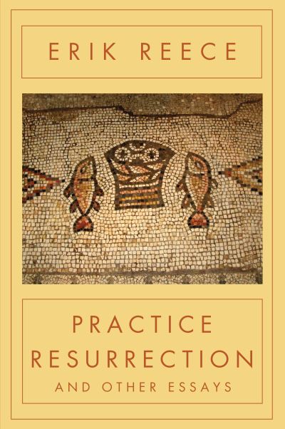 Cover for Erik Reece · Practice resurrection and other essays (Buch) (2017)