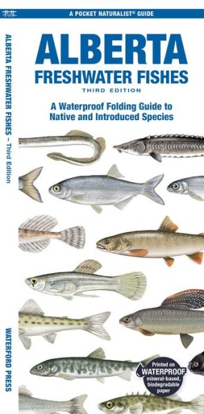 Cover for Morris, Matthew, Waterford Press · Alberta Freshwater Fishes: A Folding Guide to Native and Introduced Species - Nature Observation North America (Pamphlet) [3rd edition] (2024)