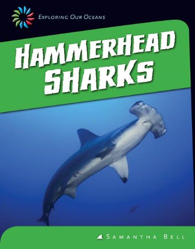 Cover for Samantha Bell · Hammerhead Sharks (Exploring Our Oceans) (Hardcover Book) (2013)