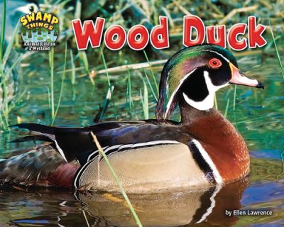 Cover for Ellen Lawrence · Wood Duck (Paperback Book) (2020)