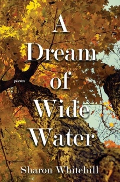 Cover for Sharon Whitehill · A Dream of Wide Water (Paperback Book) (2020)