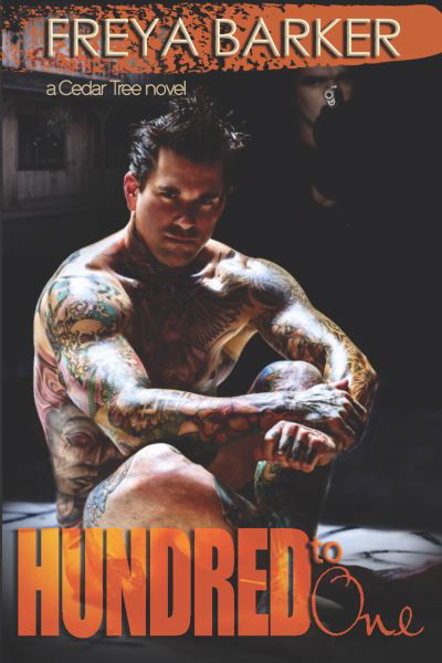 Hundred to One - Freya Barker - Books - Diversion Publishing Corp. - 9781682309087 - December 16, 2016