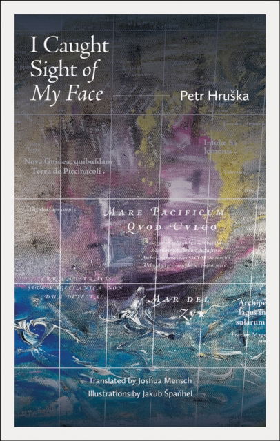 Cover for Petr Hruska · I Caught Sight of My Face (Hardcover Book) (2024)