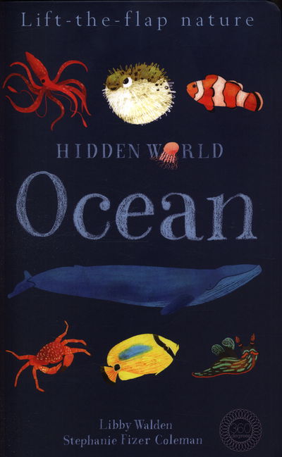 Cover for Libby Walden · Hidden World: Ocean (Hardcover Book) (2018)