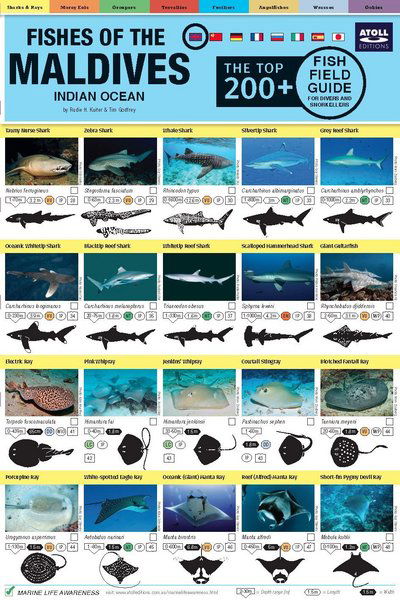 Cover for Tim Godfrey · Maldives Fish Field Guide &quot;Top 200+&quot; (Map) (2019)