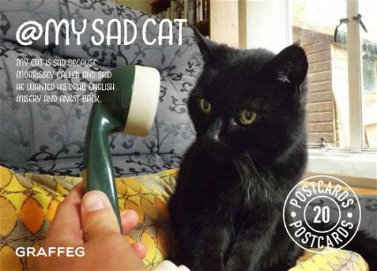 My Sad Cat Postcard Pack - Tom Cox - Books - Graffeg Limited - 9781910862087 - February 24, 2017