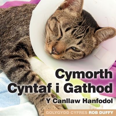 Cover for Cymorth Cyntaf i Gathod: Y Canllaw Hanfodol (Paperback Book) (2019)