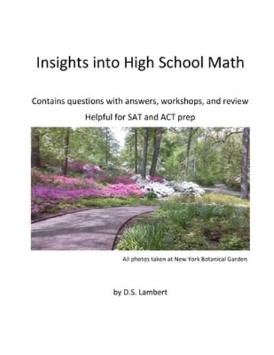 Cover for D S Lambert · Insights into High School Math (Paperback Bog) (2019)