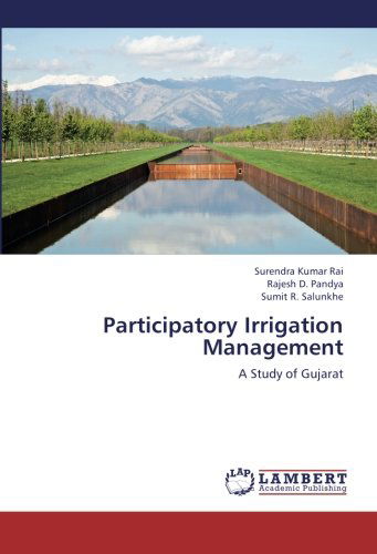 Cover for Sumit R. Salunkhe · Participatory Irrigation Management: a Study of Gujarat (Paperback Book) (2012)