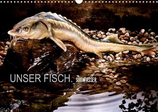 Cover for Morgenstern · UNSER FISCH. SÜßWASSER. (Wa (Book)