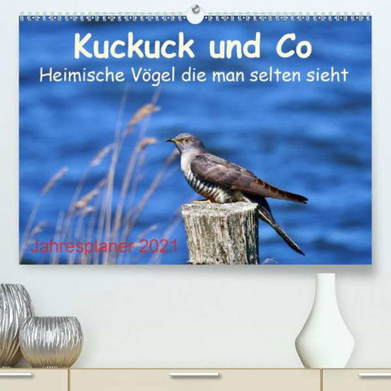 Cover for Schaack · Kuckuck und Co - Heimische Vöge (Book)