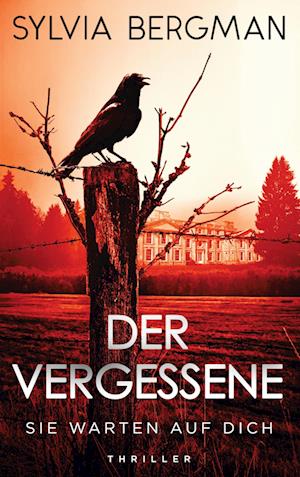 Cover for Sylvia Bergman · Der Vergessene (Book) (2024)