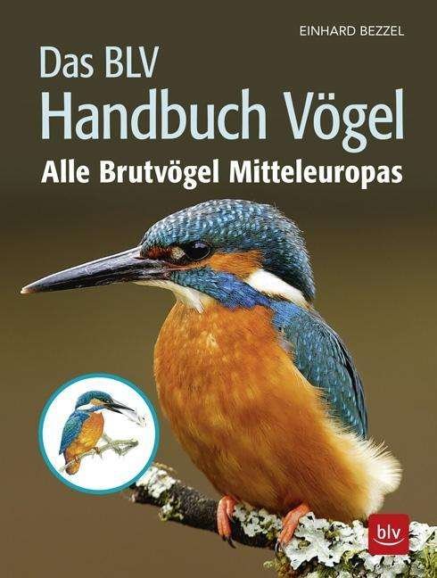 Cover for Bezzel · Das BLV Handbuch Vögel (Bok)