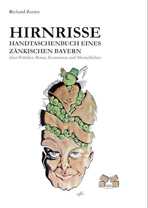 Cover for Richard Zanier · Hirnrisse (Hardcover Book) (2010)