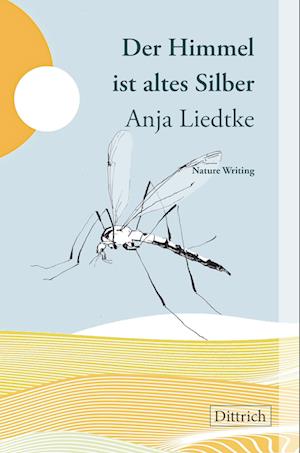 Cover for Anja Liedtke · Der Himmel ist altes Silber (Book) (2023)