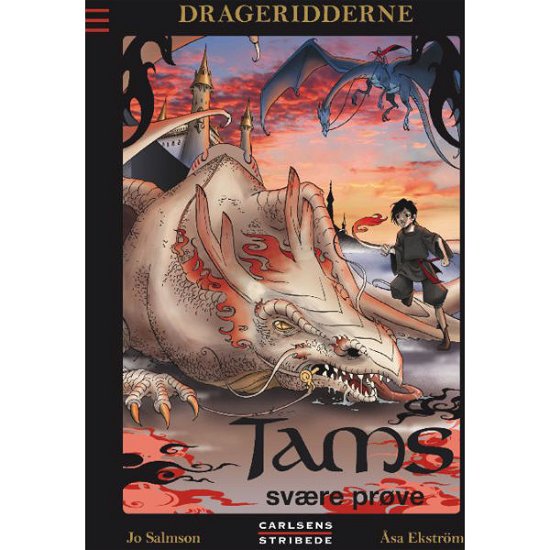 Cover for Jo Salmson · Drageridderne: Drageridderne 2: Tams svære prøve (Innbunden bok) [1. utgave] [Hardback] (2013)