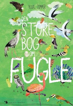 Cover for Yuval Zommer · Den store bog om ...: Den store bog om fugle (Hardcover bog) [1. udgave] (2022)
