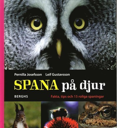 Cover for Leif Gustavsson · Spana på djur (Indbundet Bog) (2013)