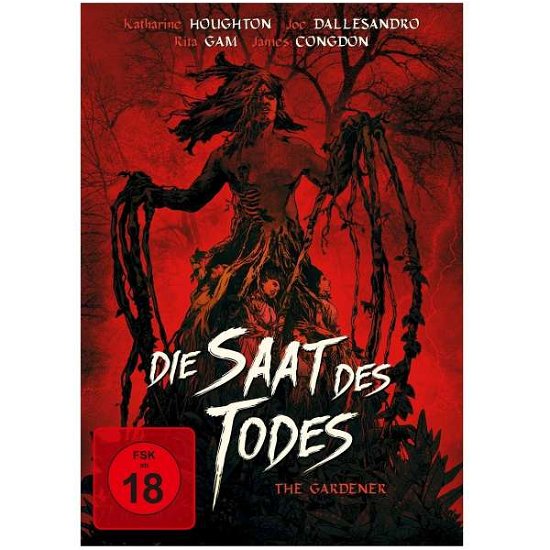Cover for Joe Dallesandro · Saat Des Todes, Die (DVD)
