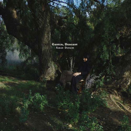 Cover for Sarah Davachi · Cantus, Descant (LP) (2020)