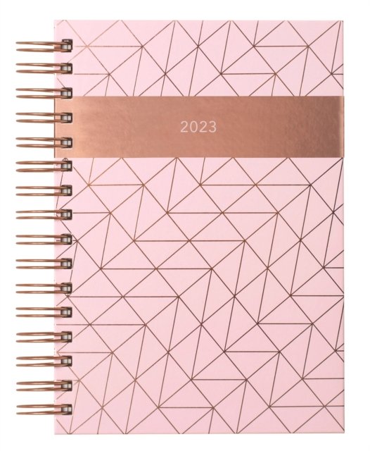 Cover for Matilda Myres Pink Page-a-Day A5 Diary 2023 (Bog) (2022)