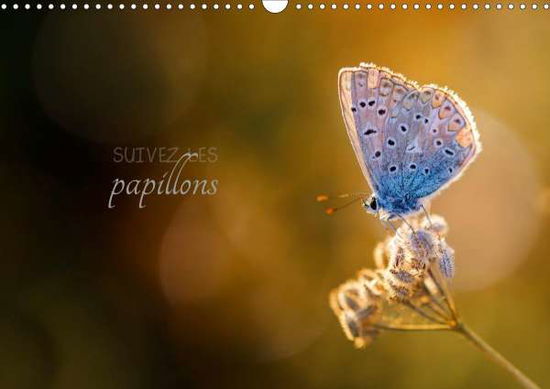 Cover for Gans · Suivez les papillons (Calendrier m (Book)