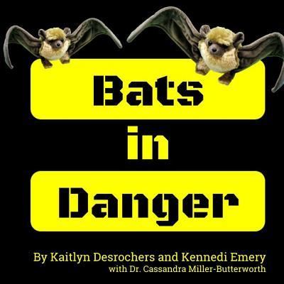 Cover for Kennedi Emery · Bats in Danger (Paperback Book) (2018)