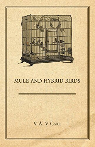 Cover for V. A. V. Carr · Mule and Hybrid Birds (Paperback Book) (2008)