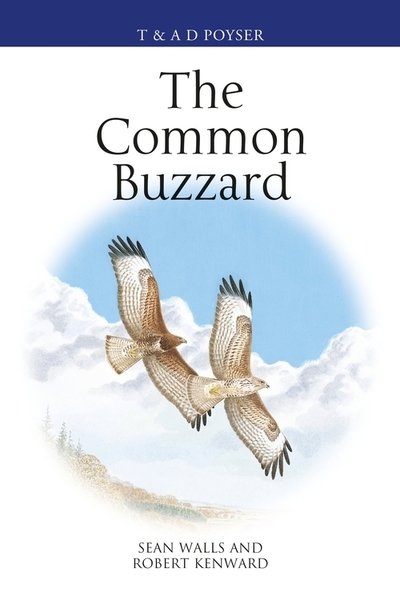 The Common Buzzard - Poyser Monographs - Sean Walls - Książki - Bloomsbury Publishing PLC - 9781472972088 - 23 stycznia 2020