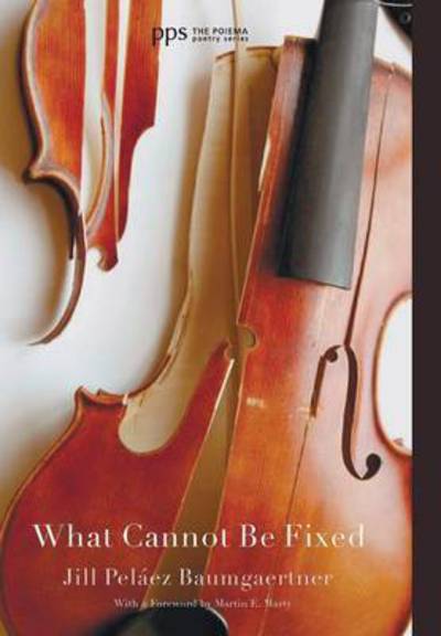 Cover for Jill Pelaez Baumgaertner · What Cannot Be Fixed (Gebundenes Buch) (2014)