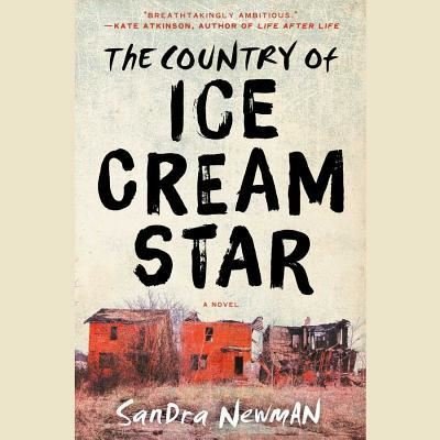 Cover for Sandra Newman · The Country of Ice Cream Star Lib/E (CD) (2015)