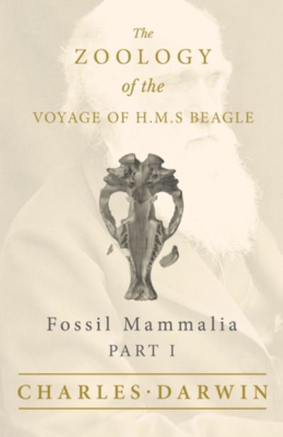 Cover for Charles Darwin · Fossil Mammalia - Part I - The Zoology of the Voyage of H.M.S Beagle (Paperback Bog) (2019)