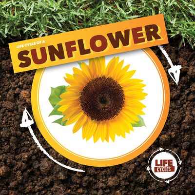 Cover for Kirsty Holmes · Life Cycle of a Sunflower (N/A) (2021)