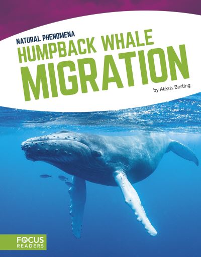 Cover for Alexis Burling · Humpback Whale Migration (Hardcover Book) (2018)