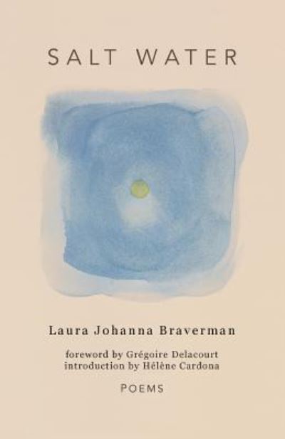 Cover for Laura Johanna Braverman · Salt Water (Paperback Book) (2019)